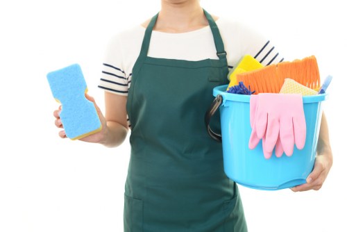 Accessibility statement introduction for Cleaners N4