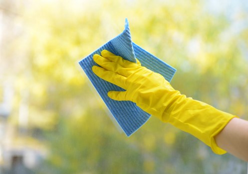 Local carpet cleaning service for homes in N4