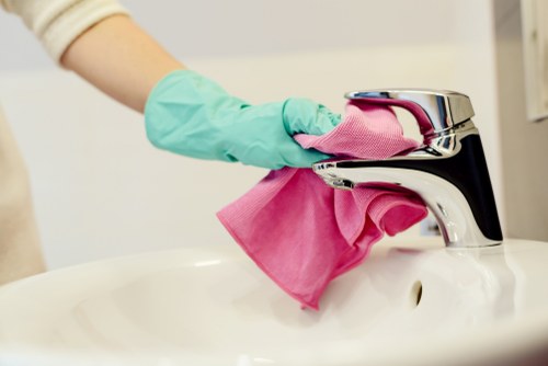 Hot water extraction carpet cleaning equipment in an N4 property
