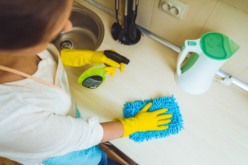Window cleaner servicing residential windows in the N4 area