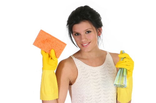 Pet stain and odour removal on upholstery in a local property