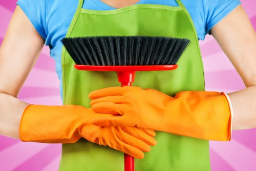 Professional carpet cleaning in a N4 apartment