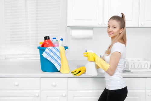 Professional stain removal treatment for a carpet in an N4 home