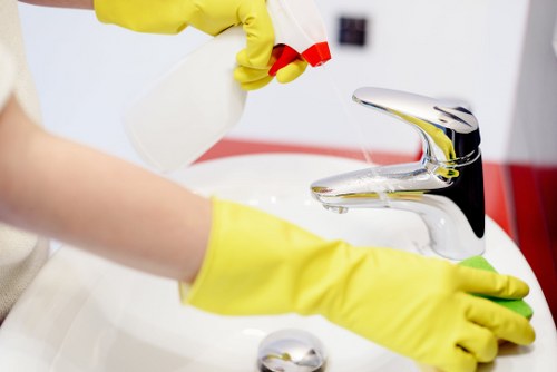 How to request accessibility support for Cleaners N4