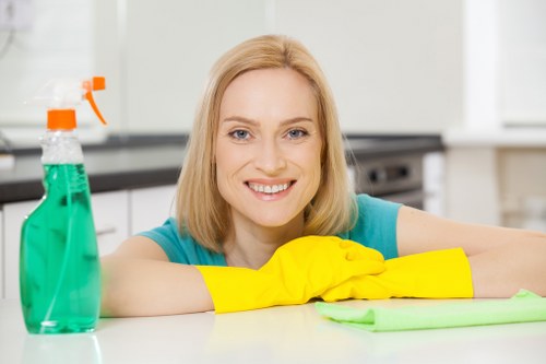 Professional mattress cleaning service for a home in N4