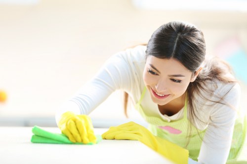 Local floor care for stone or vinyl surfaces in N4