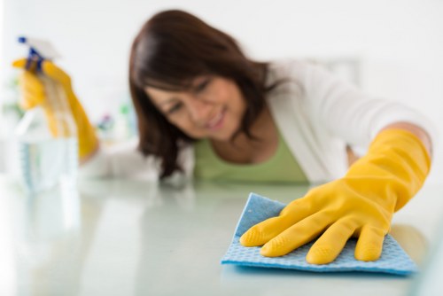 Deep cleaning process for a rug in N4