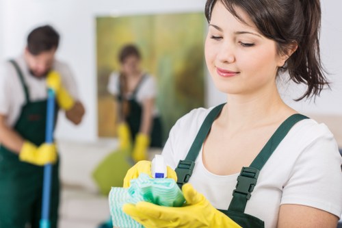 Professional cleaners in N4 improving homes and workplaces
