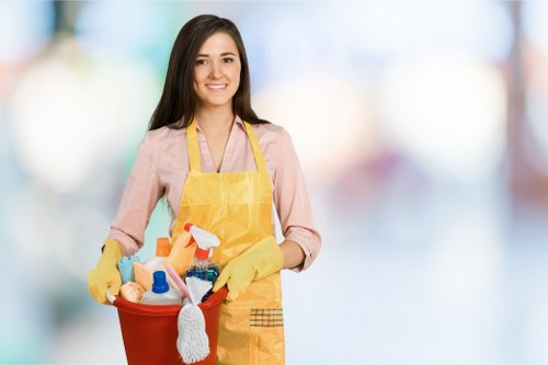 Professional cleaning for homes and small businesses in the N4 area