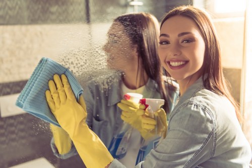 Professional domestic cleaning for homes and rentals in N4