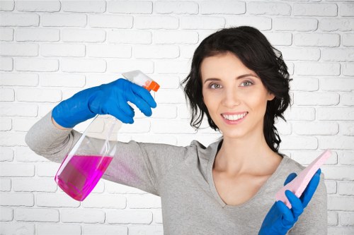 Commercial regular cleaning for an office or small business in N4