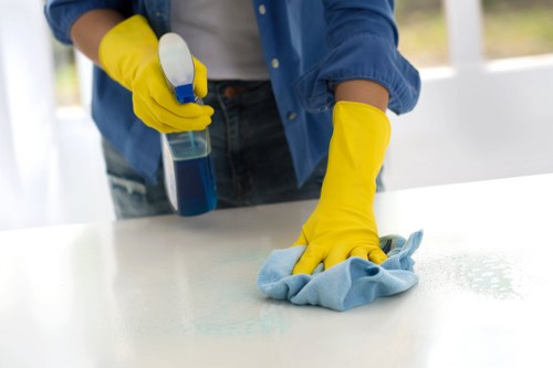 Weekly cleaning checklist and routine maintenance for N4 customers