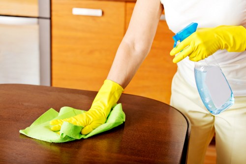 WCAG 2.1 AA accessibility commitment for the Cleaners N4 area