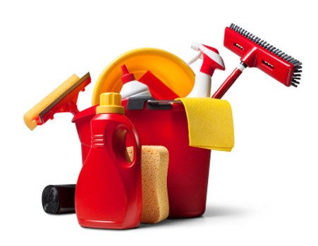 Cleaning process for stubborn pet urine odour in a N4 flat